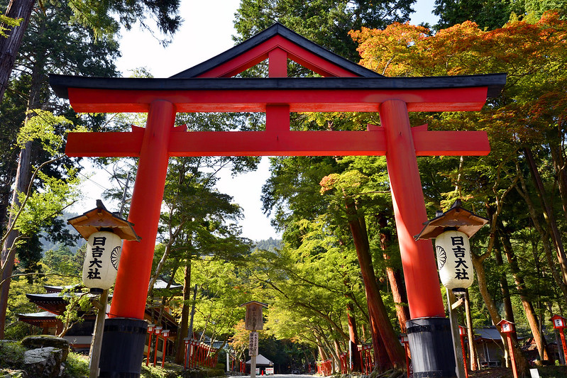 image of torii