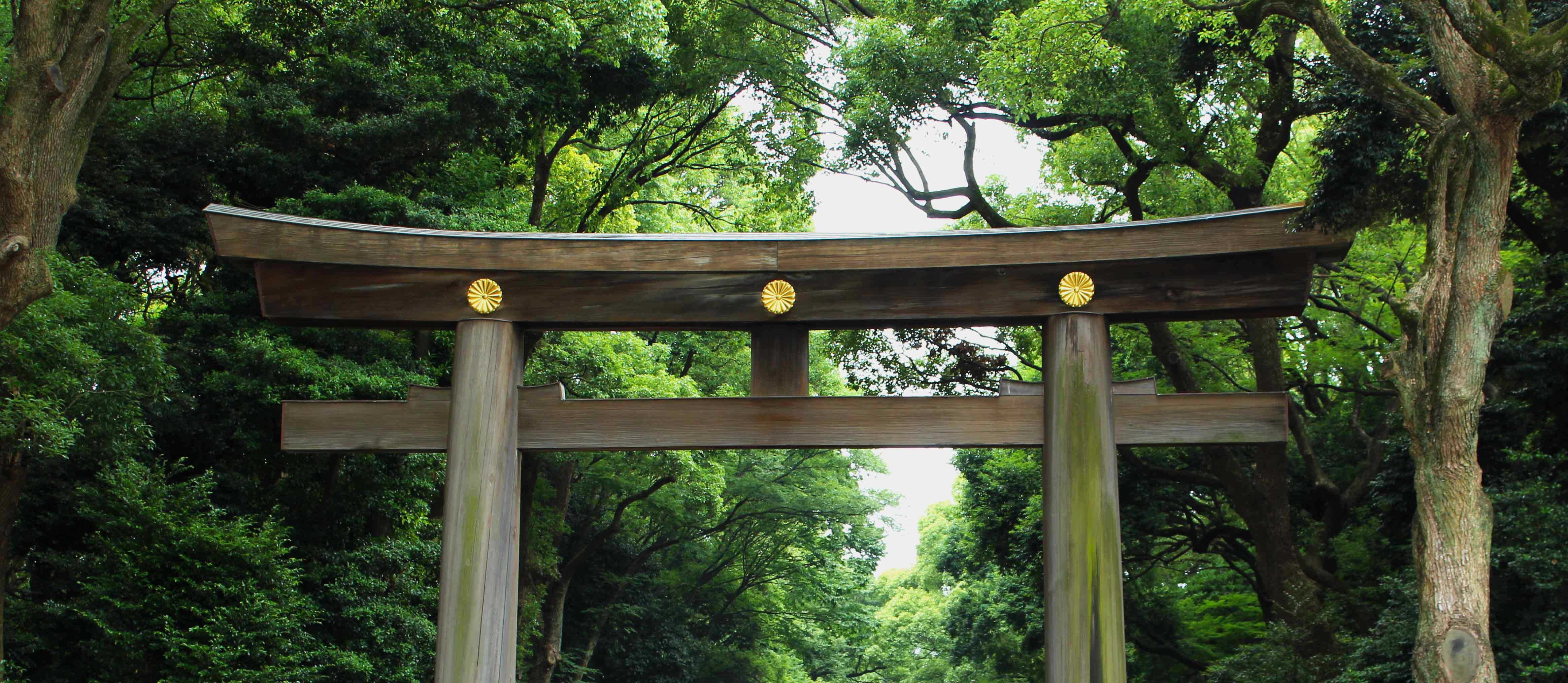 image of torii